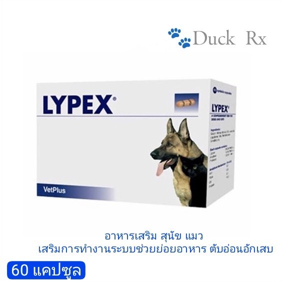 [01/26] LYPEX 60 CAPSULES Dog & Cat ไลเป็กซ์ อาหารเสริม สุนัข แมว เสริมการทำงานระบบช่วยย่อยอาหาร ตับ