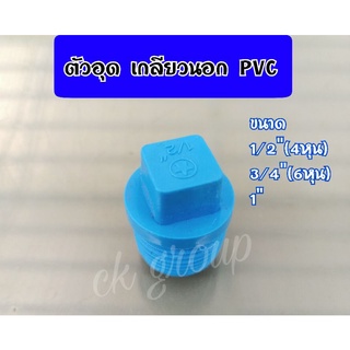 ฝาอุดท่อพีวีซีเกลียวนอก ฝาครอบท่อพีวีซีเกลียวนอกขนาด1/2"(4หุน),3/4"(6หุน),1"