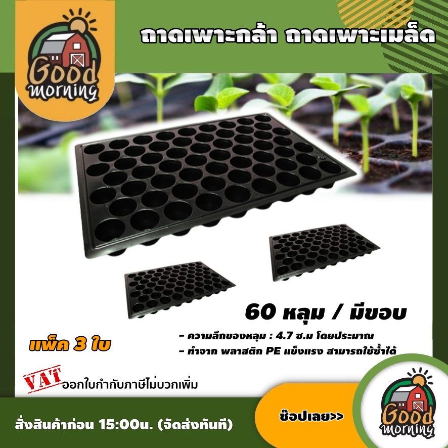 ถาดเพาะชำ 60 หลุม แพ็ค 3 ใบ ถาดเพาะ ถาดหลุม เพาะกล้า  เพาะเมล็ด มีขอบ อุปกรณ์เกษตร สวน
