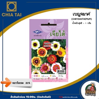 CHIATAI 🇹🇭 ดอกไม้ เจียไต๋ H018#เบญจมาศ ดอกไม้ซอง ผักซอง เมล็ดพันธุ์ เมล็ดพันธุ์ดอกไม้ ดอกไม้เจียไต๋ ตราเครื่องบิน