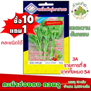 (ซื้อ10แถม1) เมล็ดพันธุ์ คะน้าฮ่องกง กวนอู Chinese KALE ประมาณ 2,050เมล็ด 3A สามเอ ผักสวนครัว เมล็ดพันธุ์พืช เมล็ดผัก