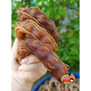 มะขามหวาน(พันธุ์สีทอง) หวานกินได้ทุกฝัก แกะเปลือก 500 กรัม