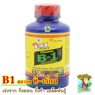 B1 B-1 b1 B-Start เร่งราก บี1 บี สตาร์ท ที-เร็กซ์ โฉมใหม่ สูตรเดิม