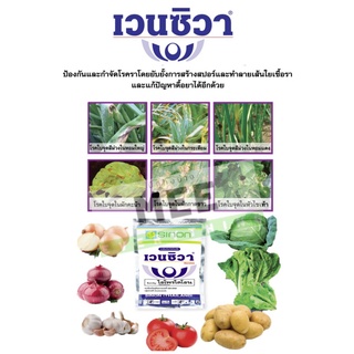 เวนซิวา สารกำจัดป้องกันเชื้อรา โรคใบจุด ใบไหม้ อัลเทอร์นาเรีย ขนาด500 กรัม 💥