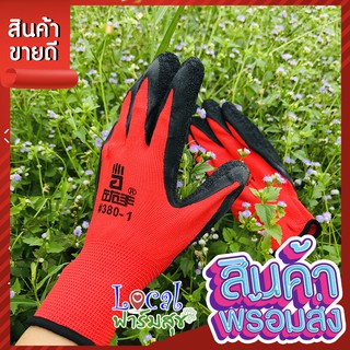 🧤 ถุงมือกันหนาม 🧤 ถุงมือปลูกกระบองเพชร ถุงมือกันหนามแคคตัส ถุงมือทำสวน ถุงมือกันลื่น