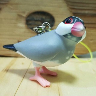 พวงกุญแจนก กาชาปอง นก Java Sparrow