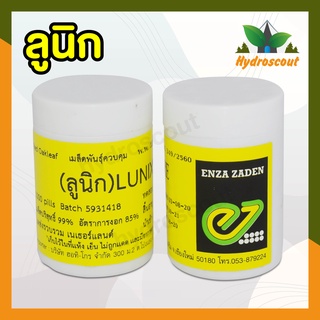 เมล็ดพันธุ์ผักสลัดเรดโอ๊ค ลูนิก (Red Oak Lunix) ชนิดเคลือบ 1000 เมล็ด ยี่ห้อ Enza Zaden