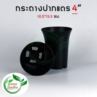 [แตกแคลมทันที]กระถางปากแตร 3,4,5 นิ้ว พรีเมี่ยม สวย ทน(งานไทย เงาสวย ไม่กรอบ) By.คิม เกษตรเงินล้าน