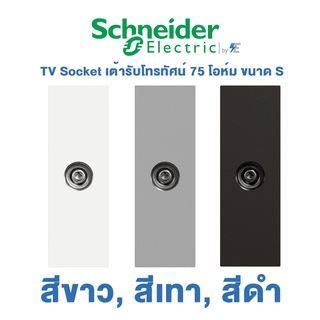 Schneider AvatarON A TV Socket เต้ารับโทรทัศน์ 75 โอห์ม ขนาด S | สีขาว, สีเทา, สีดำ