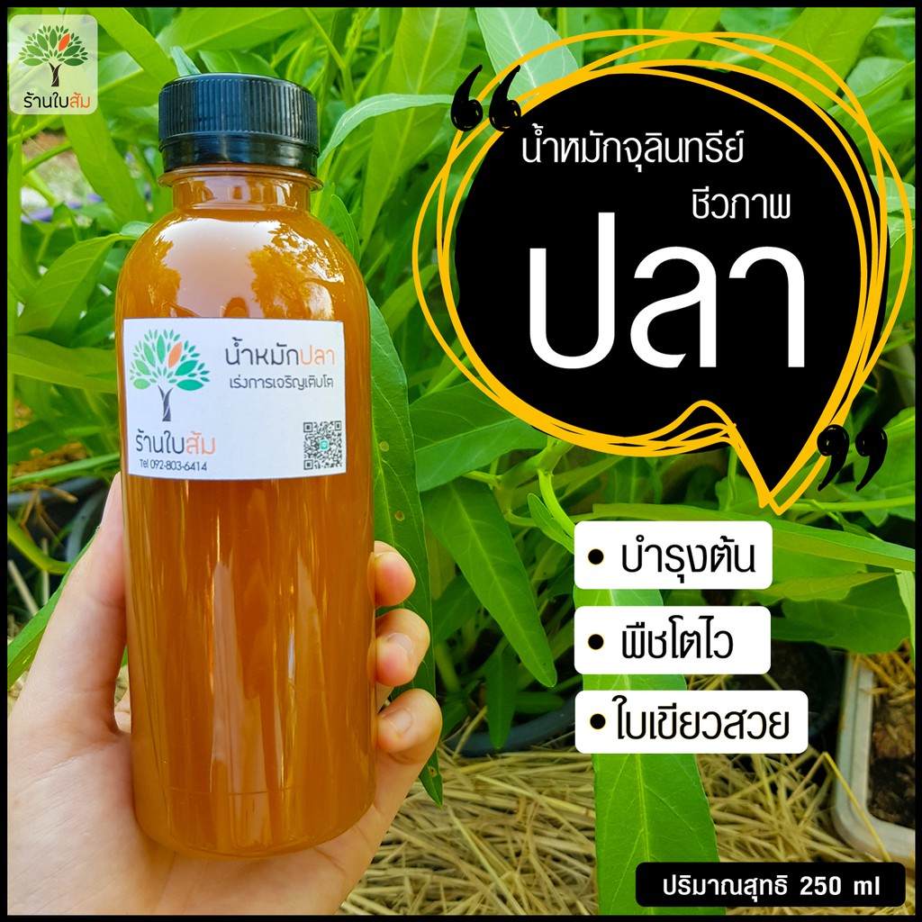 น้ำหมักชีวภาพ จุลินทรีย์ (ปลา) ช่วยบำรุงต้น พืชโตไว ใบเขียวหนา ( 250 ml. )