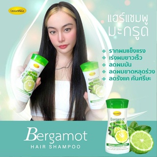 🌀แชมพูมะกรูด แชมพูแก้ผมร่วง เร่งผมยาว ลดหลุดร่วง ผมบาง ขจัดร…