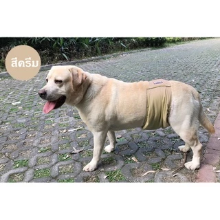Ming โอบิสุนัขตัวผู้ โอบิแบรนด์ญี่ปุ่น DogLemi ผ้าอ้อมรัดเอวสุนัขตัวผู้ ซักได้ พร้อมส่ง