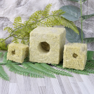 Rockwool Cube ไฮโดรโปนิกปลูกต้นไม้