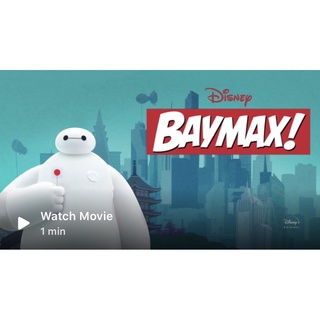 Baymax หายาก มือสอง สภาพดี สีหมองบ้าง ซักสะอาดแล้ว