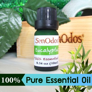 SenOdos น้ำมันหอมระเหยแท้ 100% กลิ่นยูคาลิปตัส น้ำมันนวด น้ำมันสปา หอมอโรม่า Eucalyptus Pure Essential Oils