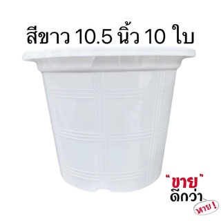 กระถางพลาสติกสีขาว 10.5 นิ้ว ชุด 10 ใบ