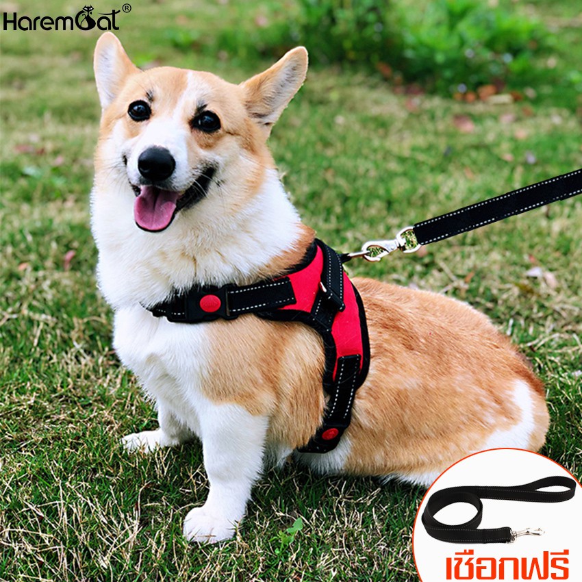 Harmcat เข็มขัดสัตว์เลี้ยง สายจูงเชือกไนล่อน เซ็ท2ชิ้น เหมาะสำหรับสุนัขทุกขนาด เสื้อพยุงอก สายจูงฝึกสุนัข แบบไม่เจ็บ