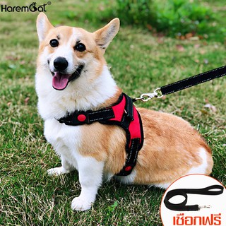 Harmcat เข็มขัดสัตว์เลี้ยง สายจูงเชือกไนล่อน เซ็ท2ชิ้น เหมาะ…