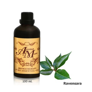 Aroma&amp;More  Ravensara Essential Oil 100%-น้ำมันหอมระเหยราเวนซารา 100% Madagascar 100ML