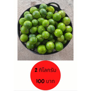 Set 2 กิโล มะนาวไร้เม็ดเขียวรวม ปลอดสาร คัดพิเศษเกรดA ไม่พ่นยาฆ่าแมลง ผ่านมาตรฐานสารเคมีสวย