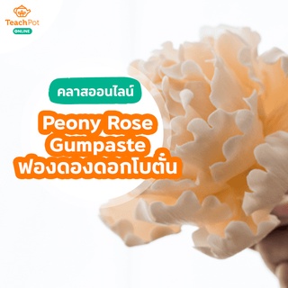 คลาส Peony Rose Gumpaste - สอนทำฟองดองดอกโบตั๋น สำหรับใช้ตกแต่งเค้ก