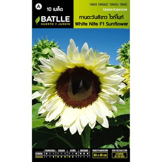 เมล็ด ทานตะวันสีขาว ไวท์ไนท์ - ProCut® White Nite F1 Sunflower