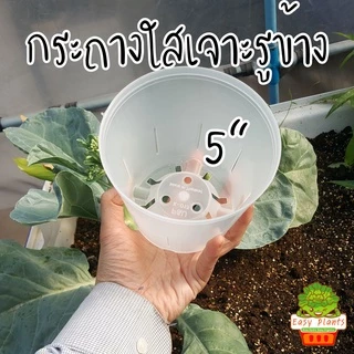 กระถาง ใส เจาะรูข้าง แพ๊คละ 10 ชิ้น มี 3 ขนาด 3,4,5 นิ้ว สามารถมองทะลุ เห็นรากที่เกิดขึ้นมาได้