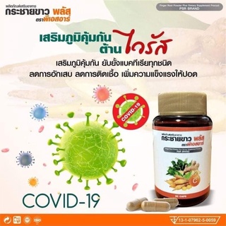 💥กระชายขาว ตรา พลัสพีเอสอาร์  พร้อมส่งจ้า
