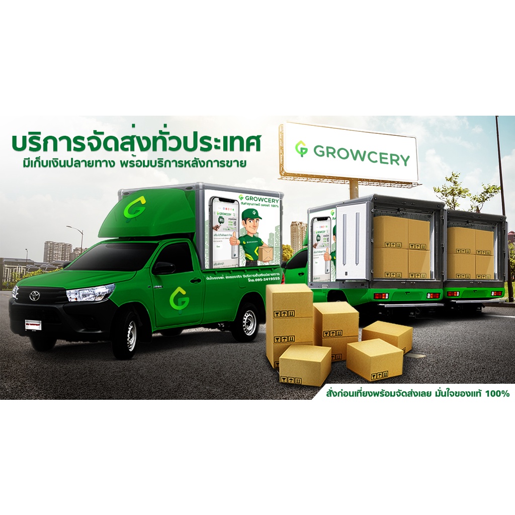 [G.] (Set 5 ใบ/แพ็ค) ถาดเพาะกล้า ถาดหลุม ถาดเพาะ ถาดเพาะต้นอ่อน เพาะเมล็ด  จำนวน 200 หลุม (หนา 1 มม.) โดย GROWCERY - รูปที่ 4