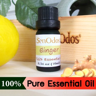 SenOdos น้ำมันหอมระเหยแท้ น้ำมันหอมอโรม่า อโรม่า กลิ่นจินเจอะ (ขิง) Ginger Essential Oil