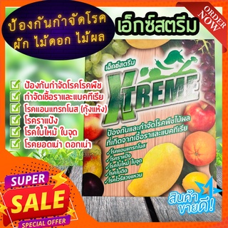 เอ็กซ์สตรีม 🦋 ป้องกันและกำจัดโรคพืชในผัก ไม้ผล ไม้ดอก กำจัดเชื้อรา โรคกุ้งแห้ง ยอดเน่าดอกเน่า โรคใบไหม้จุด ราแป้ง