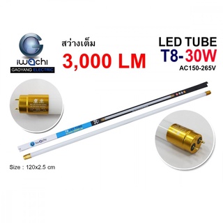 หลอดประหยัดไฟแอลอีดีขั้วสีทอง T8 30W หลอดLEDยาว หลอดไฟนีออน LED T8 30W IWACHI ขั้วสีทอง แสงสีขาว DAYLIGHT 30 หลอด