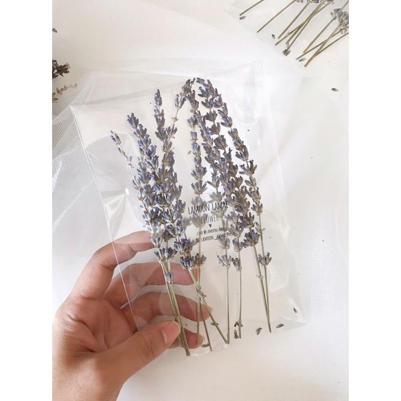 Lavender แบบเเพ็ค มีกลิ่นหอมอ่อนๆ น่ารักมากก