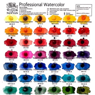 สีน้ำ Winsor professional dot card 60 สี