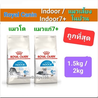 Royal Canin Indoor 2kg (Exp 09/24) / Indoor 7+ 1.5kg (Exp 08/24) โรยัลคานิน แมวโต 2 กก. / แมวแก่ เลี้ยงในบ้าน 1.5 กก.