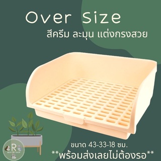 ห้องน้ำกระต่าย oversize (จัมโบ้)