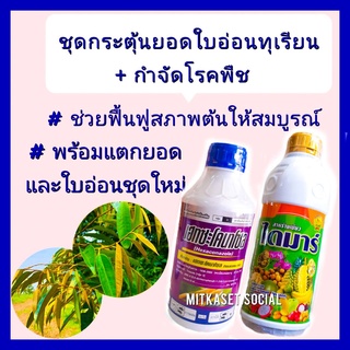 ชุด กระตุ้นแตกยอดใบอ่อนทุเรียน กำจัดโรคในทุเรียน สาหร่าย ไดมาร์ 1 ลิตร+ เฮกซะโคลนาโซล 1ลิตร กระตุ้นแตกยอดและใบอ่อน ใบติด