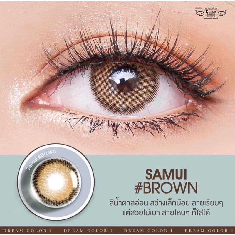 บิ๊กอาย รุ่น SAMUI BROWN สีน้ำตาล***แฟชั่นและสายตาสั้น Dreamcolor1