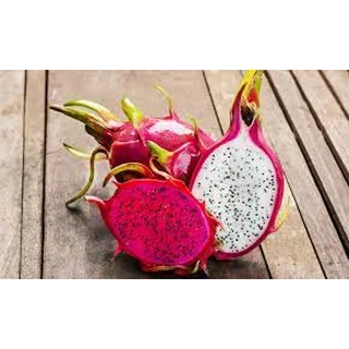 กิ่งแก้วมังกร สีขาว สีแดง เจ้าของสวนขายเองขั้นต่ำ 10 กิ่งแถม 1 กิ่ง (ตัดสดวันต่อวัน)