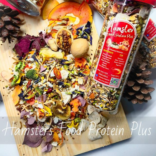 Hamster Food For Hamster  Mini Hamster  Dumbo rat