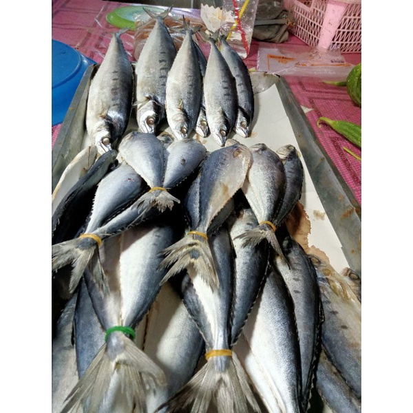 ปลาสีเสียดเค็ม ปลาเค็ม ปลาทะเลตากแห้ง อาหารทะเลแห้ง นน.500g