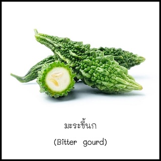 เมล็ดมะระขี้นก (Bitter gourd) 5 เมล็ด