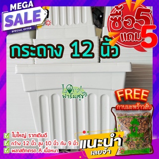 5แถม5 ฟรี🔸กาบมะพร้าวสับ กระถางต้นไม้ 12” กระถางขาว กระถางปลูกต้นไม้ กระถางกุหลาบ กระถางปลูกบอน กระถางใหญ่ เนื้อดี