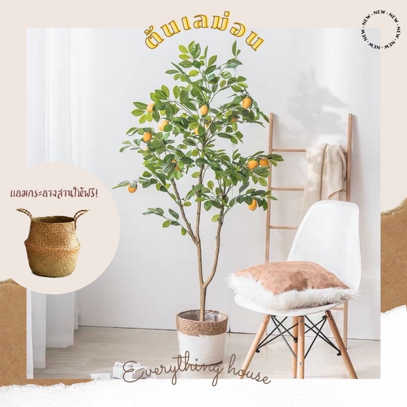 𝙇𝙚𝙢𝙤𝙣 𝙩𝙧𝙚𝙚 ~ ต้นเลม่อน แถมฟรีกระถางสาน ต้นเลม่อนปลอม 𝑩𝒆𝒔𝒕 𝒔𝒆𝒍𝒍𝒆𝒓 @𝑬𝒗𝒆𝒓𝒚𝒕𝒉𝒊𝒏𝒈.𝒉𝒐𝒖𝒔𝒆