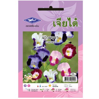 SEED TORENIA เมล็ดพันธุ์ดอกแววมยุรา เมล็ดพันธุ์ ปุ๋ยและเมล็ดพันธุ์ สวนและอุปกรณ์ตกแต่ง SEED TORENIA