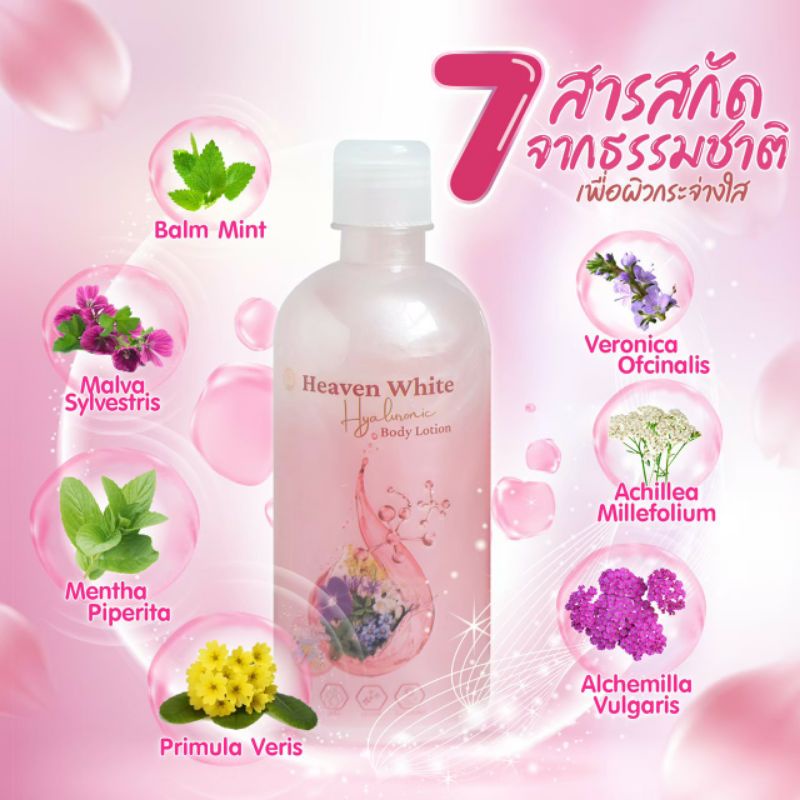 🌸🌼 Heaven White Lotion จากส่วนผสมของดอกไม้ 7 ชนิดและผงไข่มุก🌺