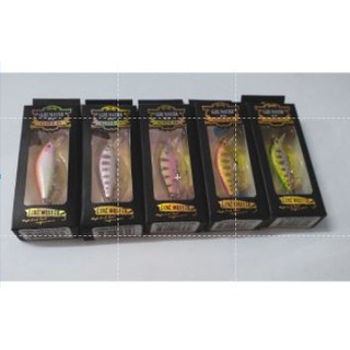 เหยื่อปลั๊ก Lure  Master Gold รุ่น R-Flat  Action  Sinking ขนาด4.5ซม น้ำหนัก 3กรัม