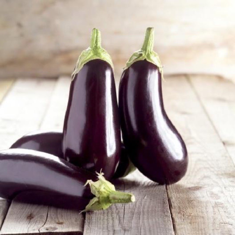 เมล็ดพันธุ์ มะเขือฟลอริด้า (Florida Market Eggplant Seed) บรรจุ 10 เมล็ด คุณภาพดี ราคาถูก ของแท้ 100