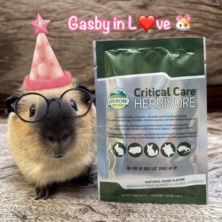 Oxbow Critical Care – Herbivore คริติคอล เเคร์ สำหรับสัตว์กินพืช ขนาด 36g 🐹🌾💊