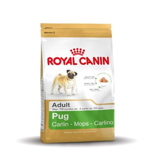 BHN Pug adult สุนัขโตสายพันธ์ปั๊ก 1.5 kg. Exp.03/20